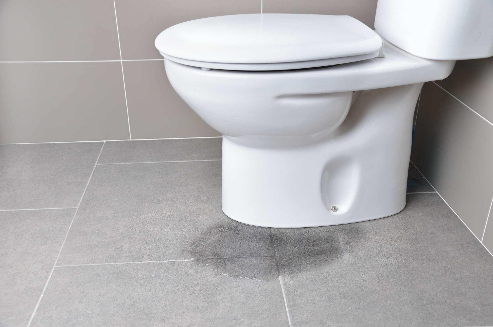 The 5 Most Common Causes of Toilet Leaks