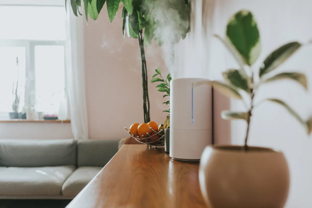 Whole House Humidifier