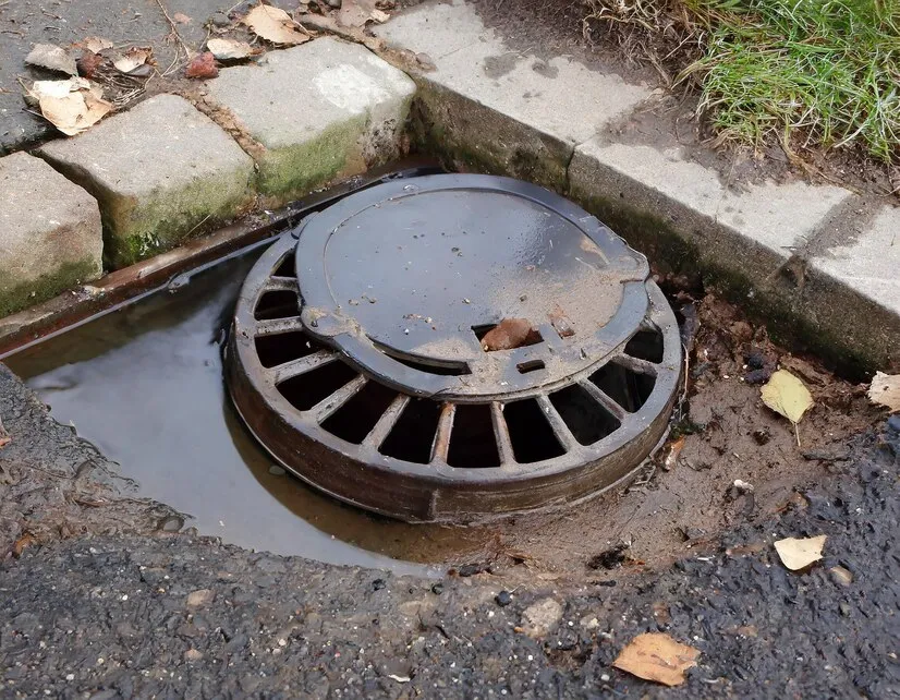 Common Sewer Line Issues & Solutions